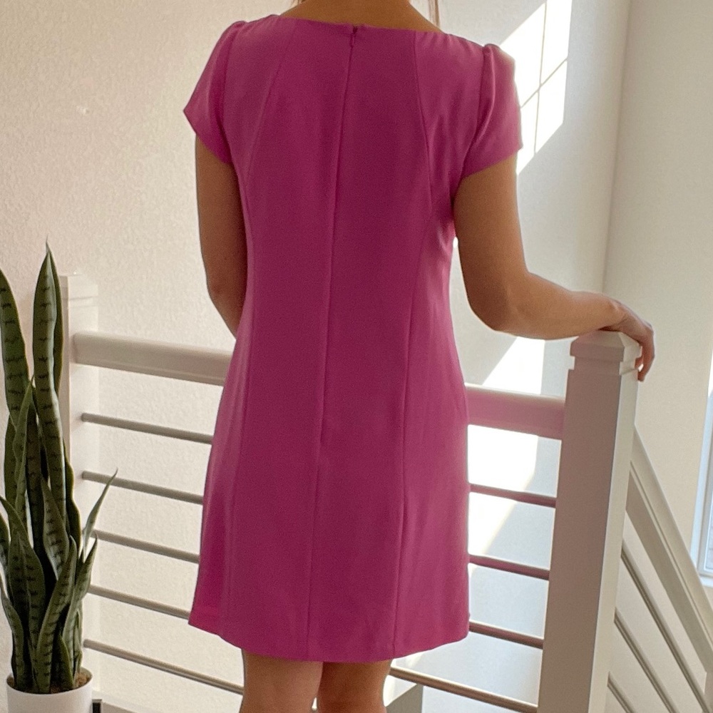 Pink Dress - Picture 3 of 3